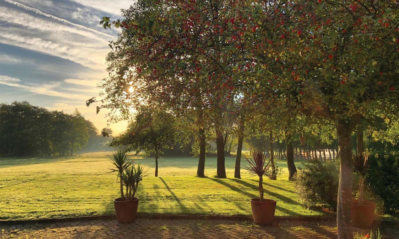 Crouchers Hotel Chichester Bagian luar foto
